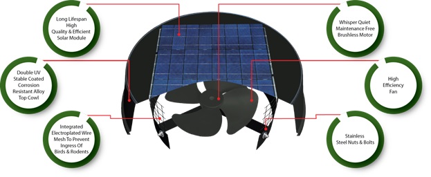 Section view of solar ventilator